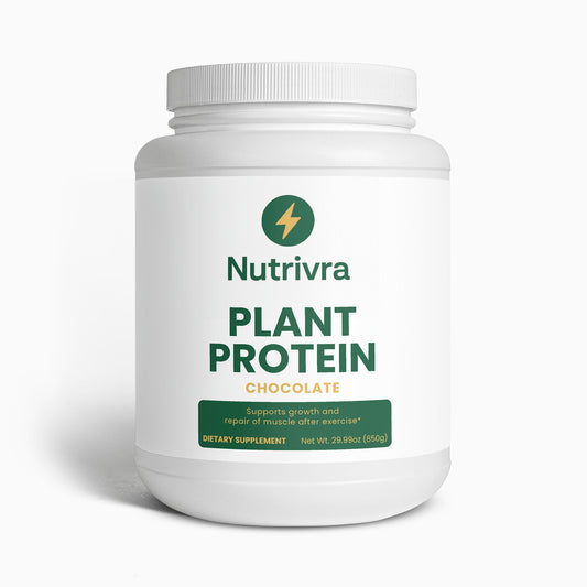 Plant Protein Powder – Chocolate Flavor | Daily Nutrition