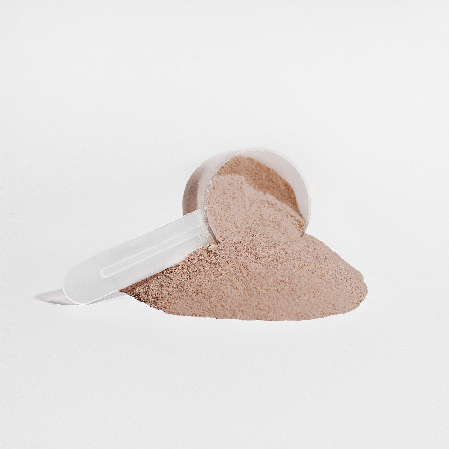 Plant Protein Powder – Chocolate Flavor | Daily Nutrition