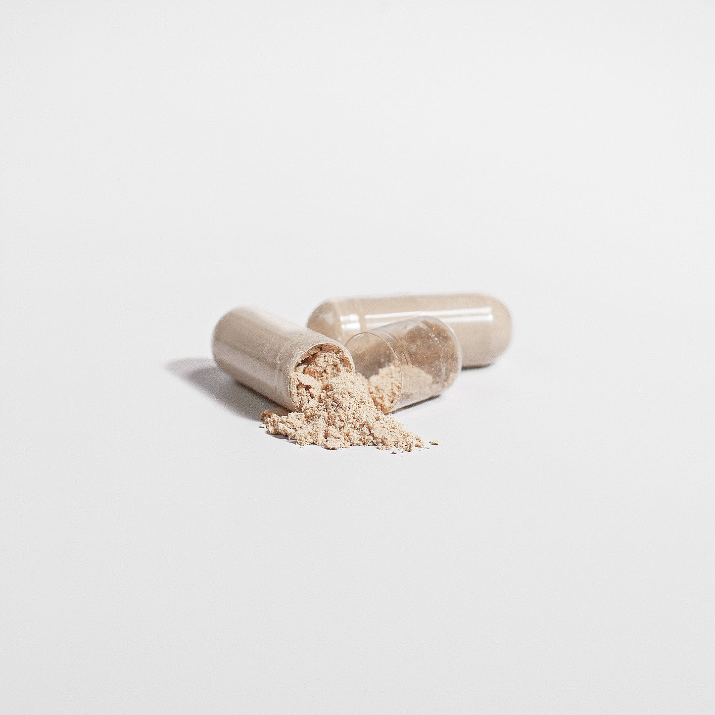 Chaga Mushroom Capsules | Natural Wellness Support