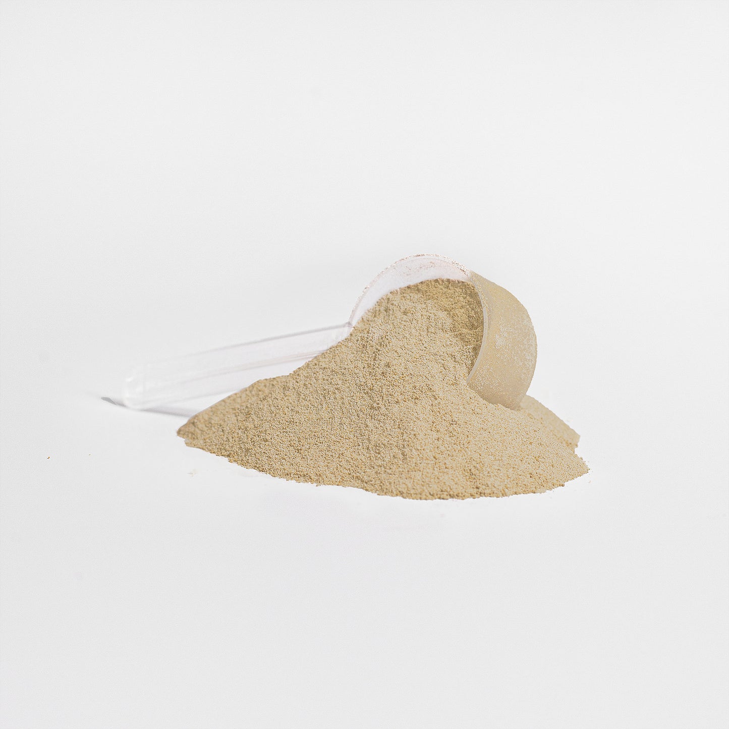 Whey Protein Isolate – Vanilla Flavor | Pure Protein Support
