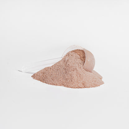 Collagen Peptides Powder – Chocolate Flavor | Daily Nutrition Drink Mix