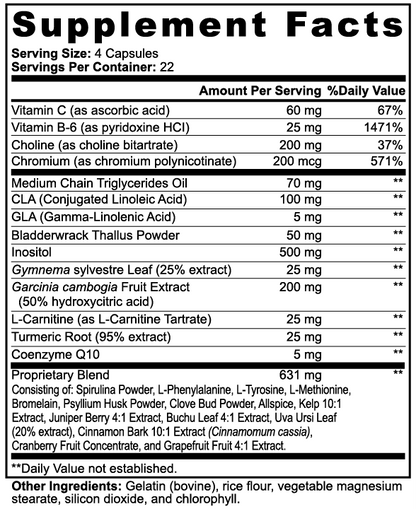 MCT Energy Blend | Clean Energy & Metabolism